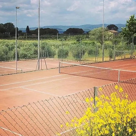 Apartment Lovely In *