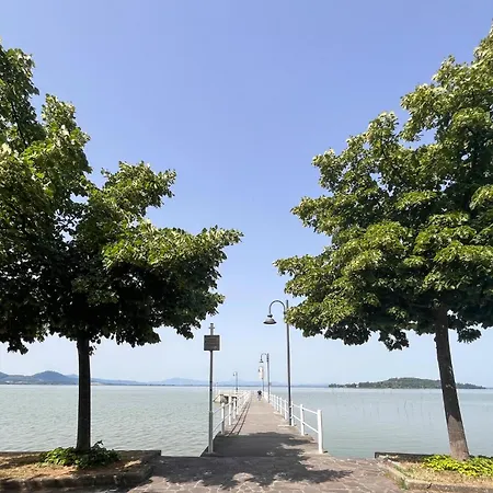 Lovely In Apartment *